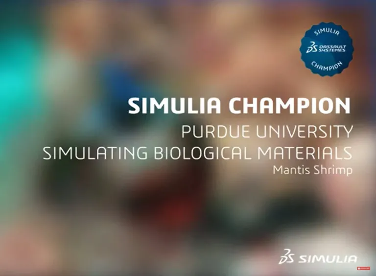 SIMULIA Champions プログラム > ダッソー・システムズ