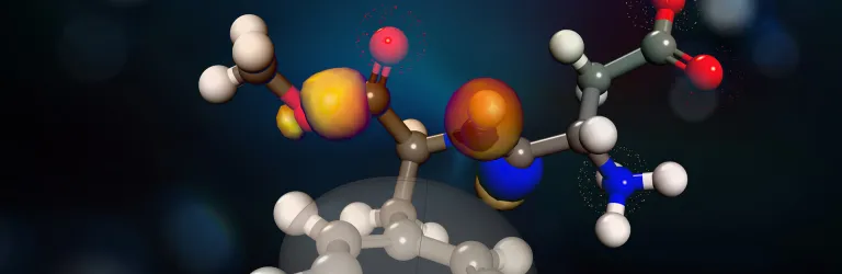 Materials Studio 分子モデリングおよびシミュレーション > ダッソー・システムズ